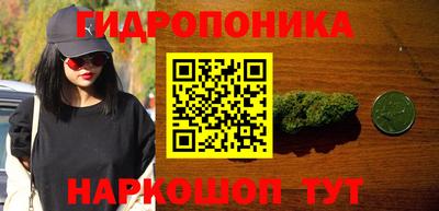 крисы Азнакаево