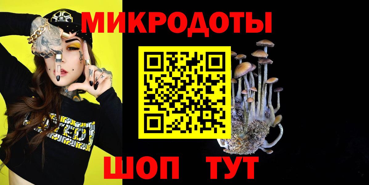Алексеевка  Галлюциногенные грибы GOLDEN TEACHER  Вход с VPN  Галлюциногенные грибы ЛСД 
